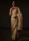 Golden Sheer Saree In Silk With Embroidered Border Online - Kalki Fashion