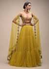Citrus Lehenga And Crop Top With Resham Embroidered Spring Blossoms