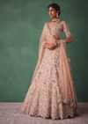 Baby Pink Jaal Work Lehenga With Sweetheart Neck Blouse And Embroidered Dupatta