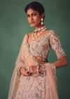 Baby Pink Jaal Work Lehenga With Sweetheart Neck Blouse And Embroidered Dupatta