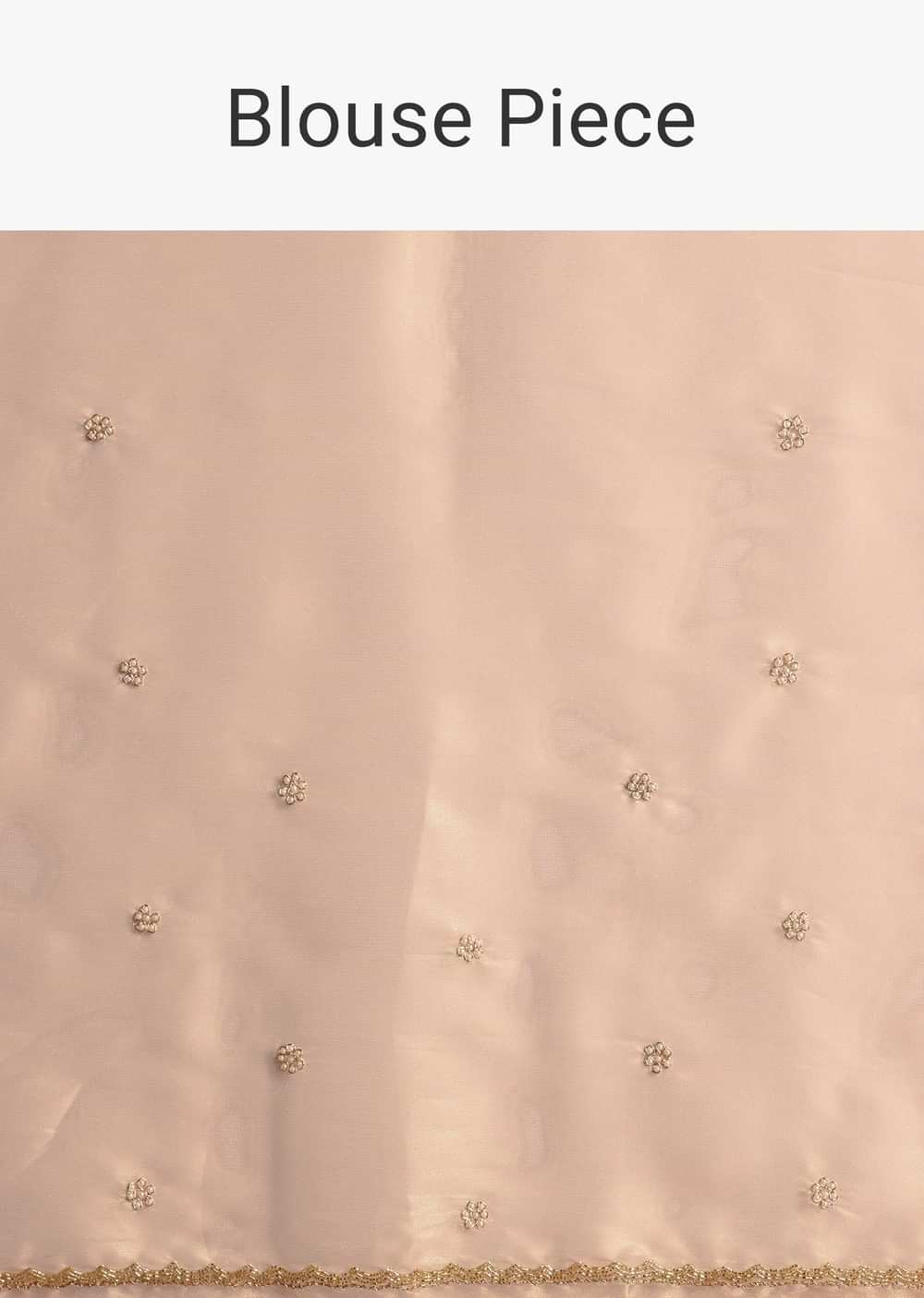 Peach Organza Tissue Saree With Scalloped Embroidery