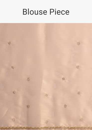 Peach Organza Tissue Saree With Scalloped Embroidery Peach Organza Tissue Saree With Scalloped Embroidery