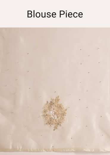 Beige Organza Tissue Saree With Delicate Embellished Edge