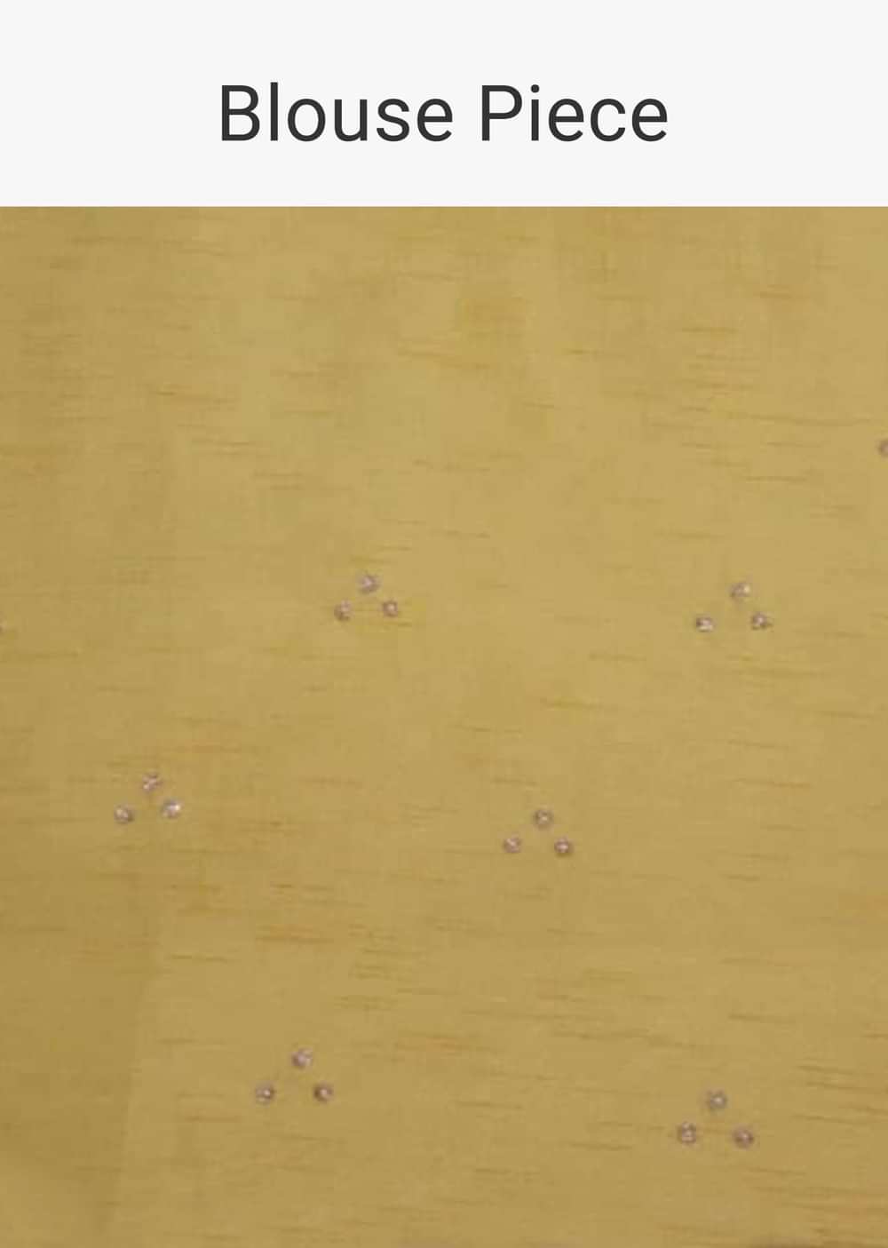 Apricot Yellow Saree In Organza With Floral Print And Moti Accents