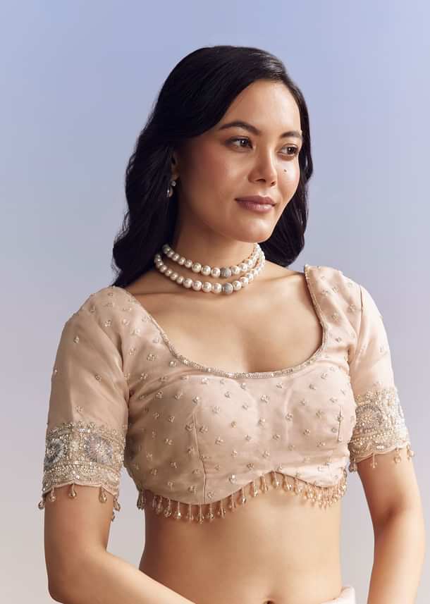 Baby Pink Organza Saree With Chikankari Threadwork And Beaded Embroidery