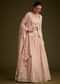 Baby Pink Georgette Lehenga Set With Lucknowi And Mirror Work