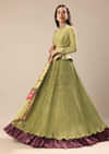 Bamboo Green Embroidered Anarkali Suit With Printed Dupatta