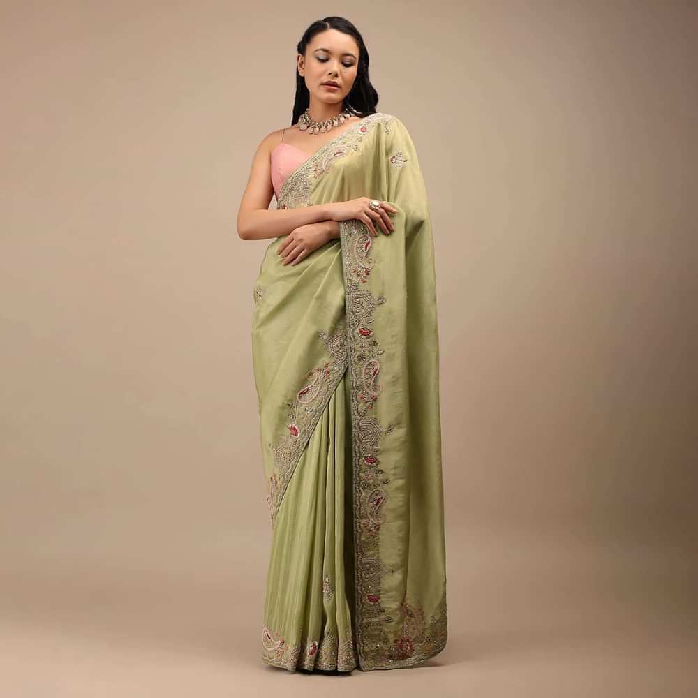 Beechnut Green Tissue Saree In Zardozi Embroidery Buttis, It Comes In An Embroidery Border In Multi-Color French Knots Detailing