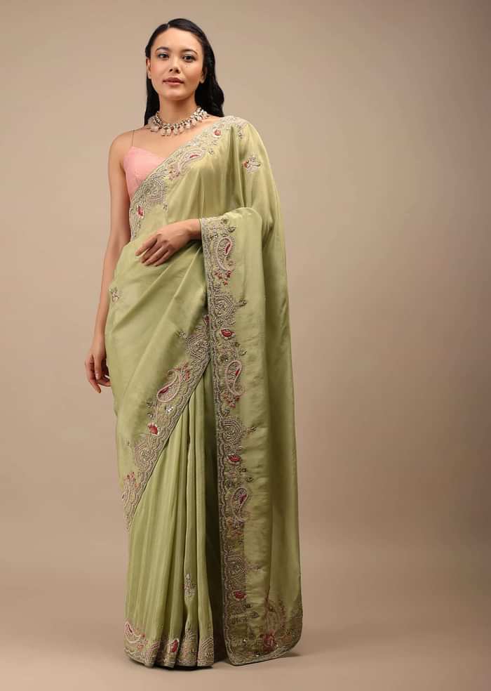 Beechnut Green Tissue Saree In Zardozi Embroidery Buttis, It Comes In An Embroidery Border In Multi-Color French Knots Detailing