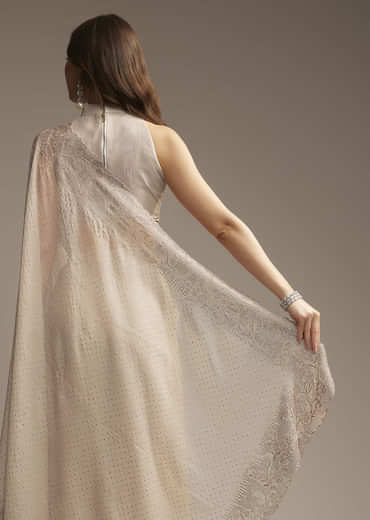 Beige Chiffon Saree with Resham Floral Cutwork