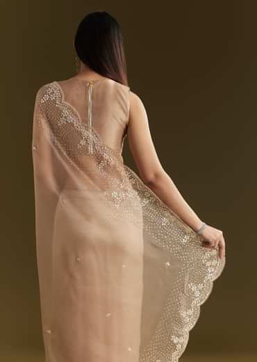 Beige Glass Tissue Embroidered Saree With Scallop Border