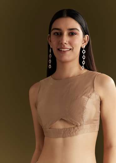 Beige Glass Tissue Embroidered Saree With Scallop Border