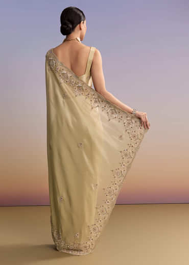 Beige Gold Tissue Embroidered Saree With Zardosi And Stone Work