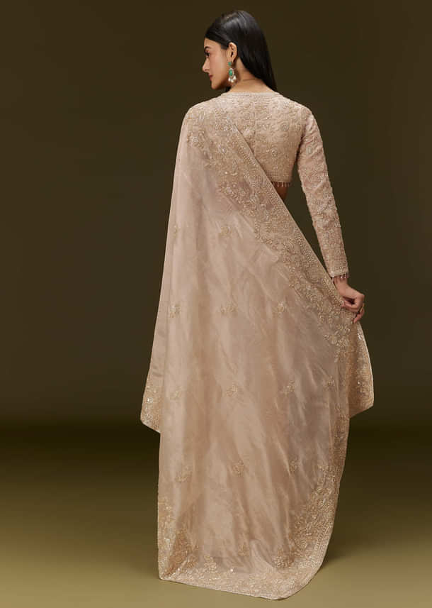 Beige Ivory Tissue Saree With Velvet Embroidered Blouse