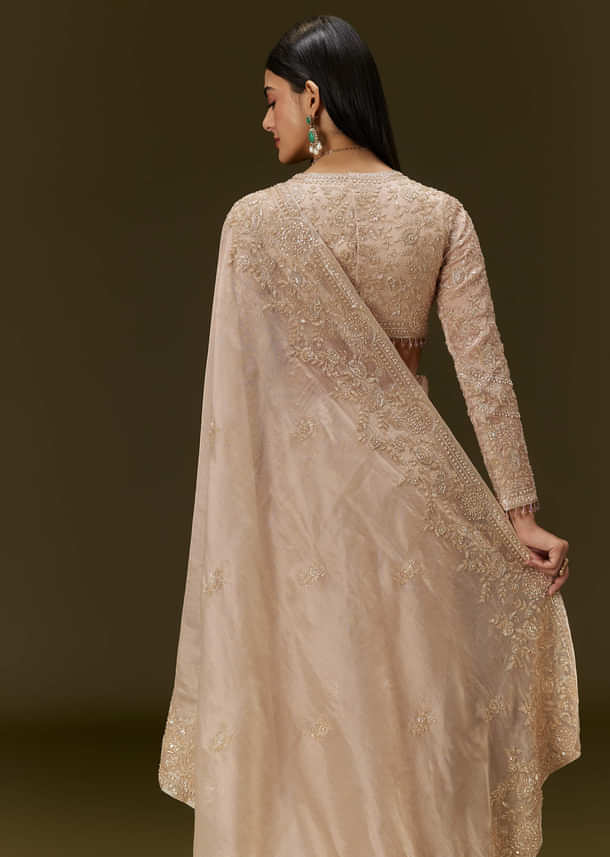 Beige Ivory Tissue Saree With Velvet Embroidered Blouse