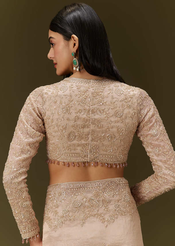 Beige Ivory Tissue Saree With Velvet Embroidered Blouse