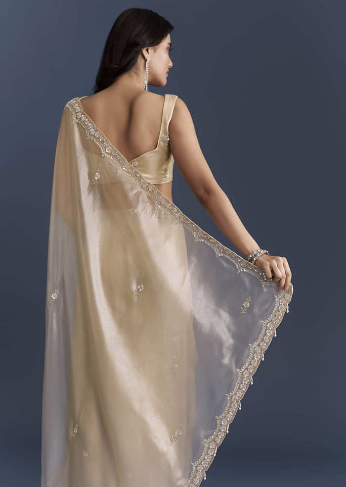 Beige Net Saree With Heavy Hand Embroidery