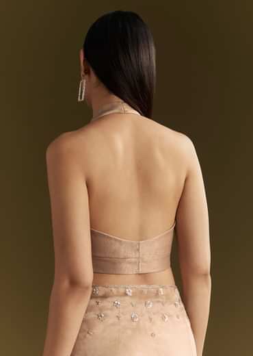 Beige Organza Sequin Embroidered Saree With Scallop Border