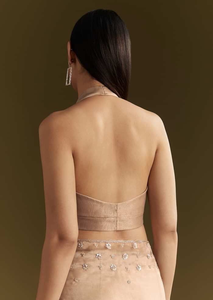 Beige Organza Sequin Embroidered Saree With Scallop Border