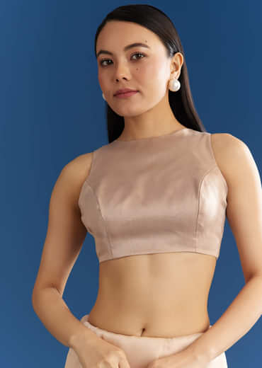 Beige Organza Tissue Saree With Cutdana Detailing