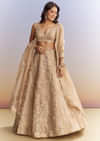 Beige Tissue Bridesmaid Lehenga With Heavy Embroidery