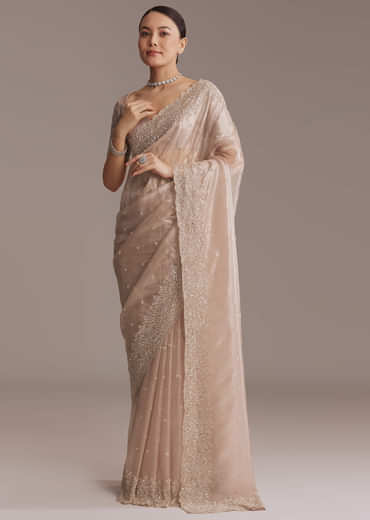 Beige Tissue Embroidered Saree With Cutwork Border