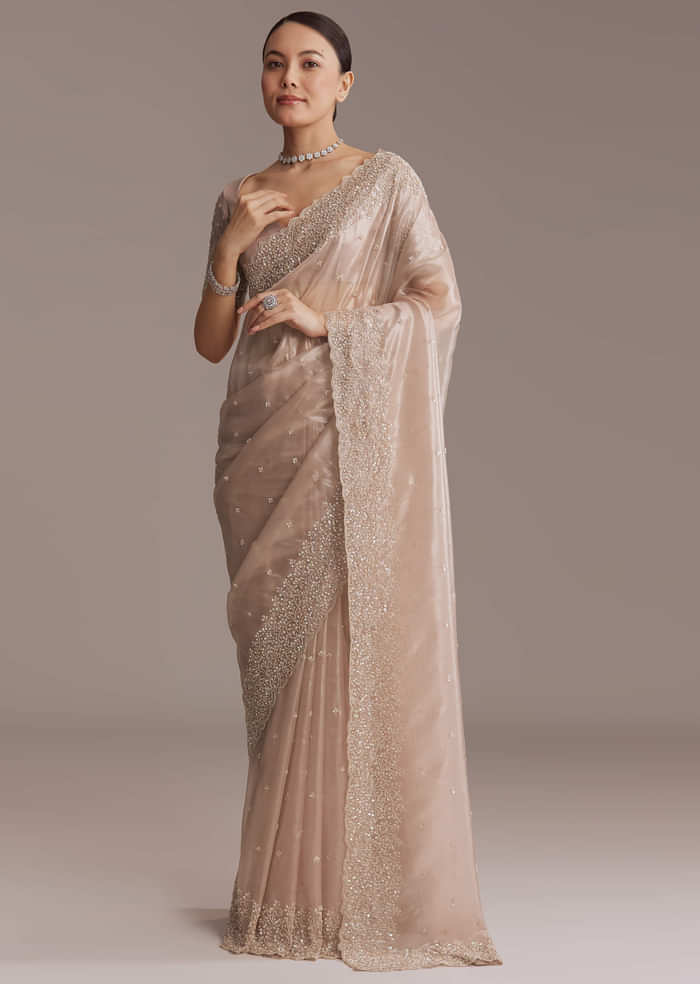 Beige Tissue Embroidered Saree With Cutwork Border