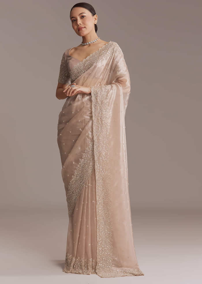 Beige Tissue Embroidered Saree With Cutwork Border
