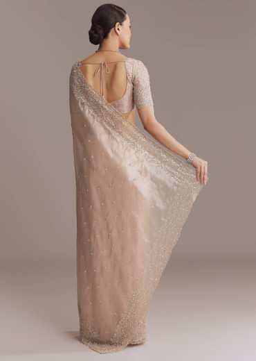 Beige Tissue Embroidered Saree With Cutwork Border