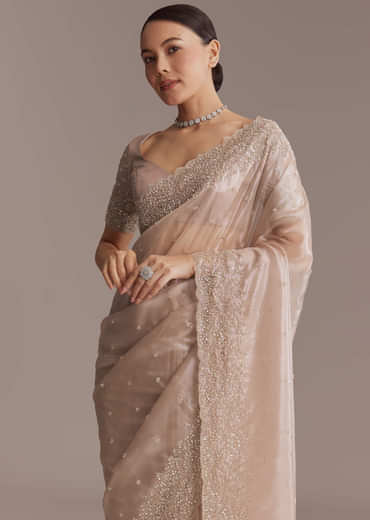 Beige Tissue Embroidered Saree With Cutwork Border