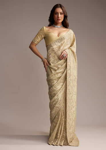 Beige Tissue Saree with Floral and Cutdana Embroidery
