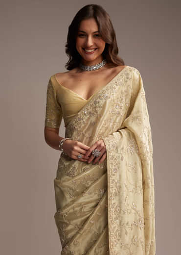 Beige Tissue Saree with Floral and Cutdana Embroidery