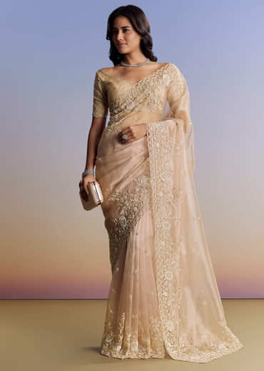 Beige Tissue Saree With Scallop Border And All Over Floral Embroidery