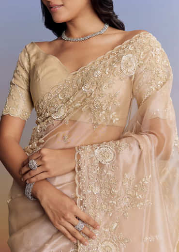 Beige Tissue Saree With Scallop Border And All Over Floral Embroidery