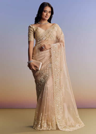 Beige Tissue Saree With Scallop Border And All Over Floral Embroidery