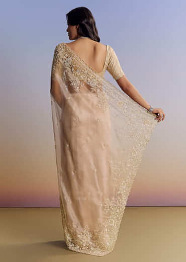 Beige Tissue Saree With Scallop Border And All Over Floral Embroidery