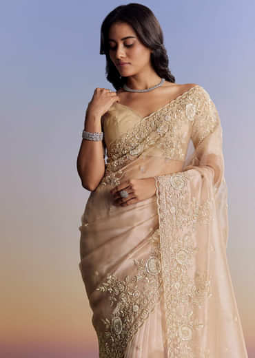 Beige Tissue Saree With Scallop Border And All Over Floral Embroidery