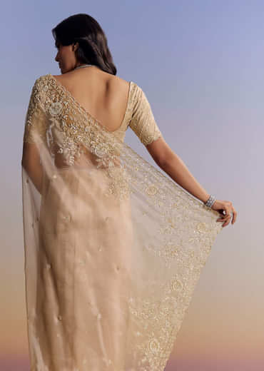 Beige Tissue Saree With Scallop Border And All Over Floral Embroidery