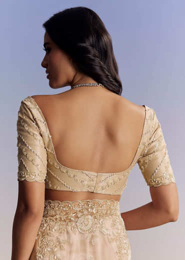 Beige Tissue Saree With Scallop Border And All Over Floral Embroidery