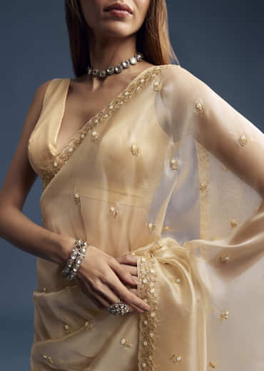 Beige Tissue Saree With Vine And Floral Embroidery