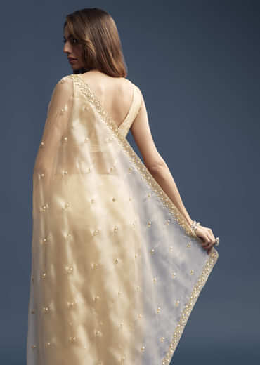 Beige Tissue Saree With Vine And Floral Embroidery