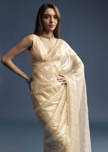 Beige Tissue Saree With Vine And Floral Embroidery