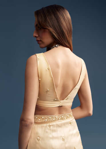 Beige Tissue Saree With Vine And Floral Embroidery
