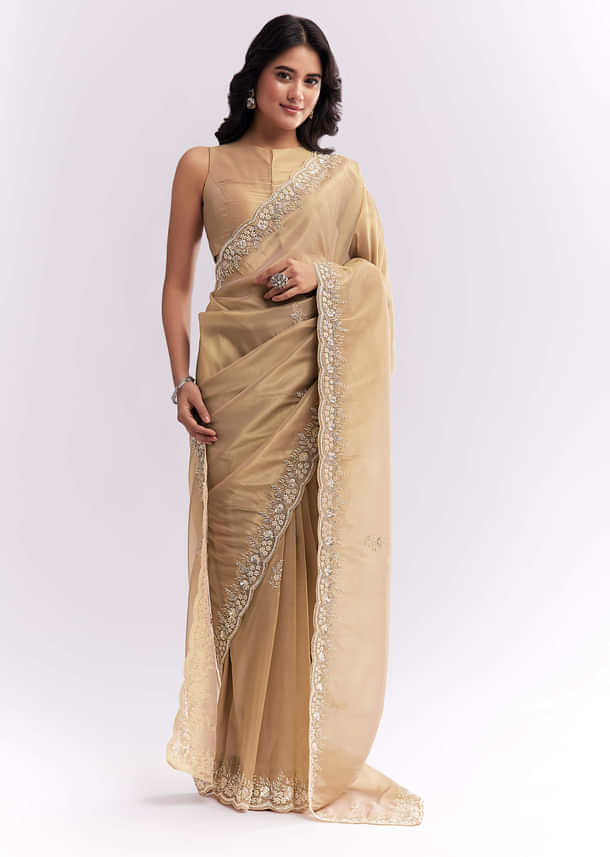Beige Tissue Silk Saree With Heavy Hand Embroidery Beige Tissue Silk Saree With Heavy Hand Embroidery