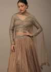 Beige Festive Sequins And Zari Embroidered Lehenga Set In Chinon