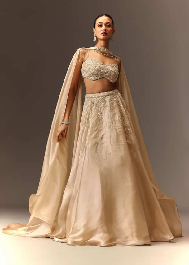 Beige Embroidered Blouse With Skirt And Choker Dupatta