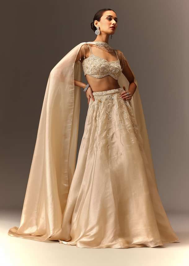 Beige Embroidered Blouse With Skirt And Choker Dupatta