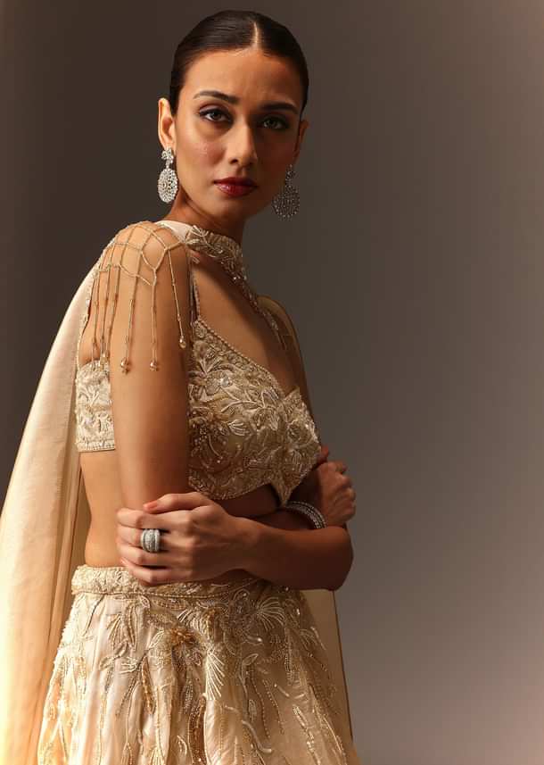 Beige Embroidered Blouse With Skirt And Choker Dupatta