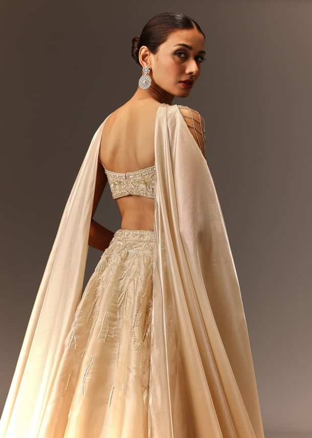 Beige Embroidered Blouse With Skirt And Choker Dupatta