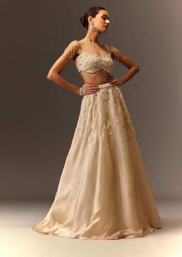 Beige Embroidered Blouse With Skirt And Choker Dupatta